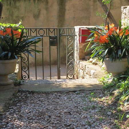 Villa Miomir Dubrovnik Oda fotoğraf
