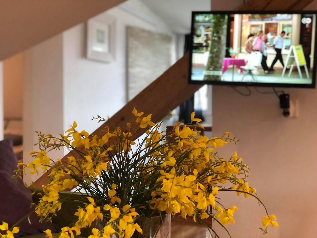 Villa Miomir Dubrovnik Dış mekan fotoğraf