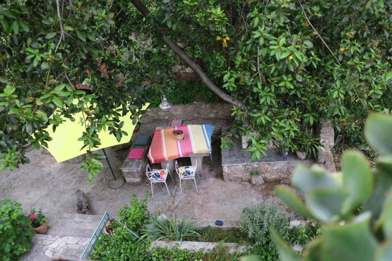 Villa Miomir Dubrovnik Dış mekan fotoğraf