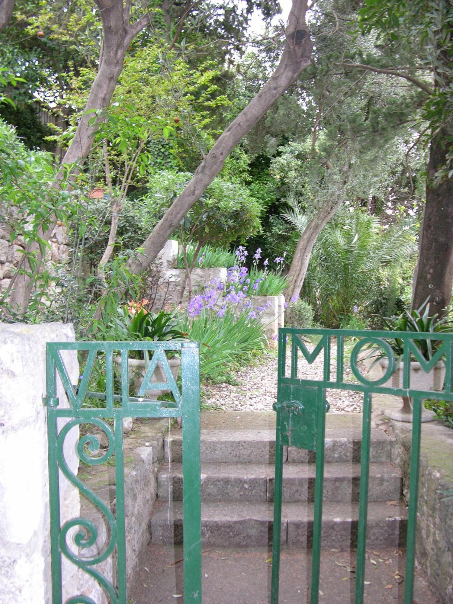 Villa Miomir Dubrovnik Dış mekan fotoğraf
